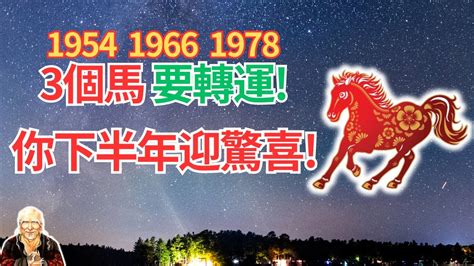 1978生肖馬|【1978年 生肖】1978年生肖運勢搶先看！45歲屬馬者必讀！